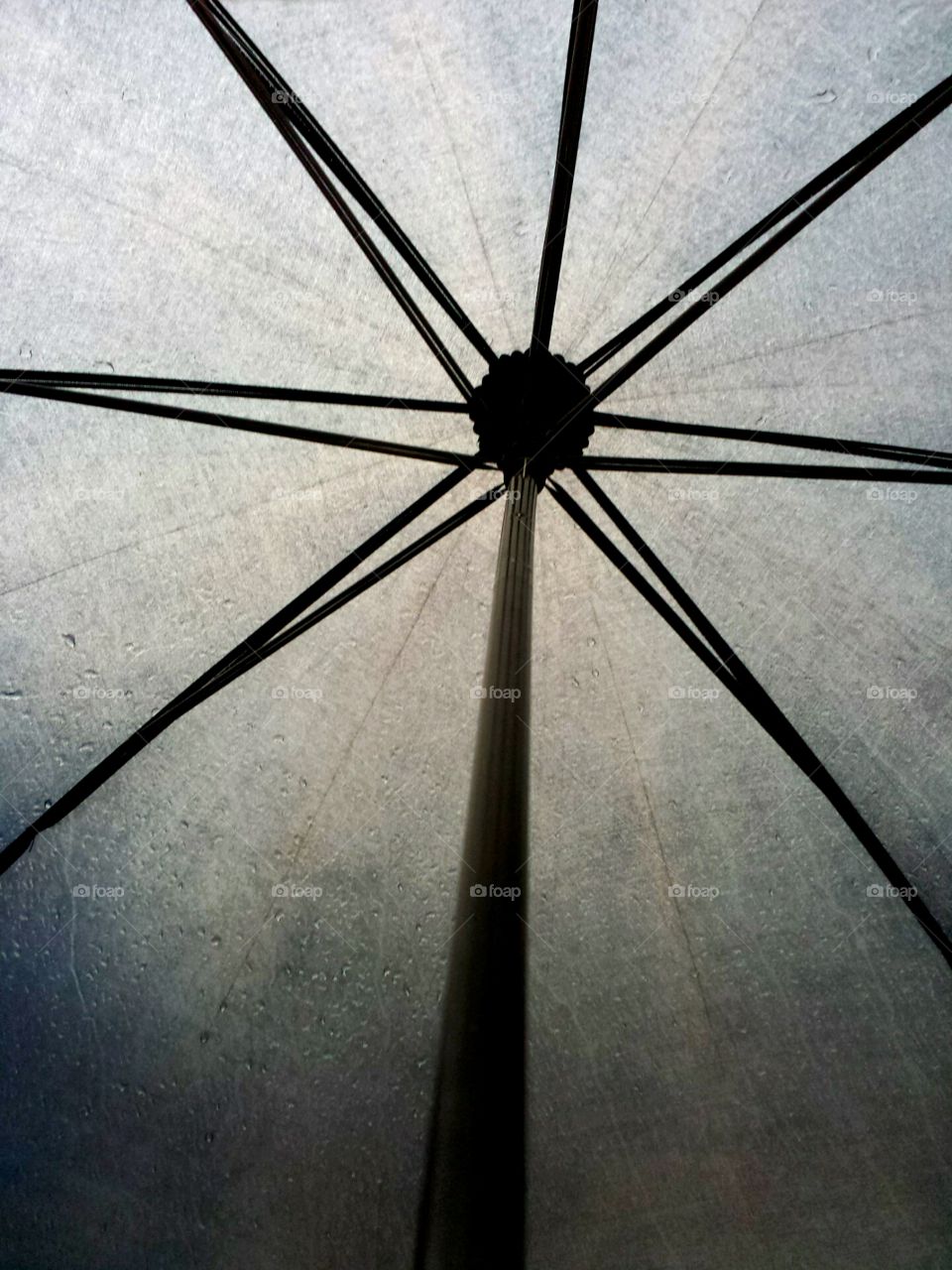 under my umbrella