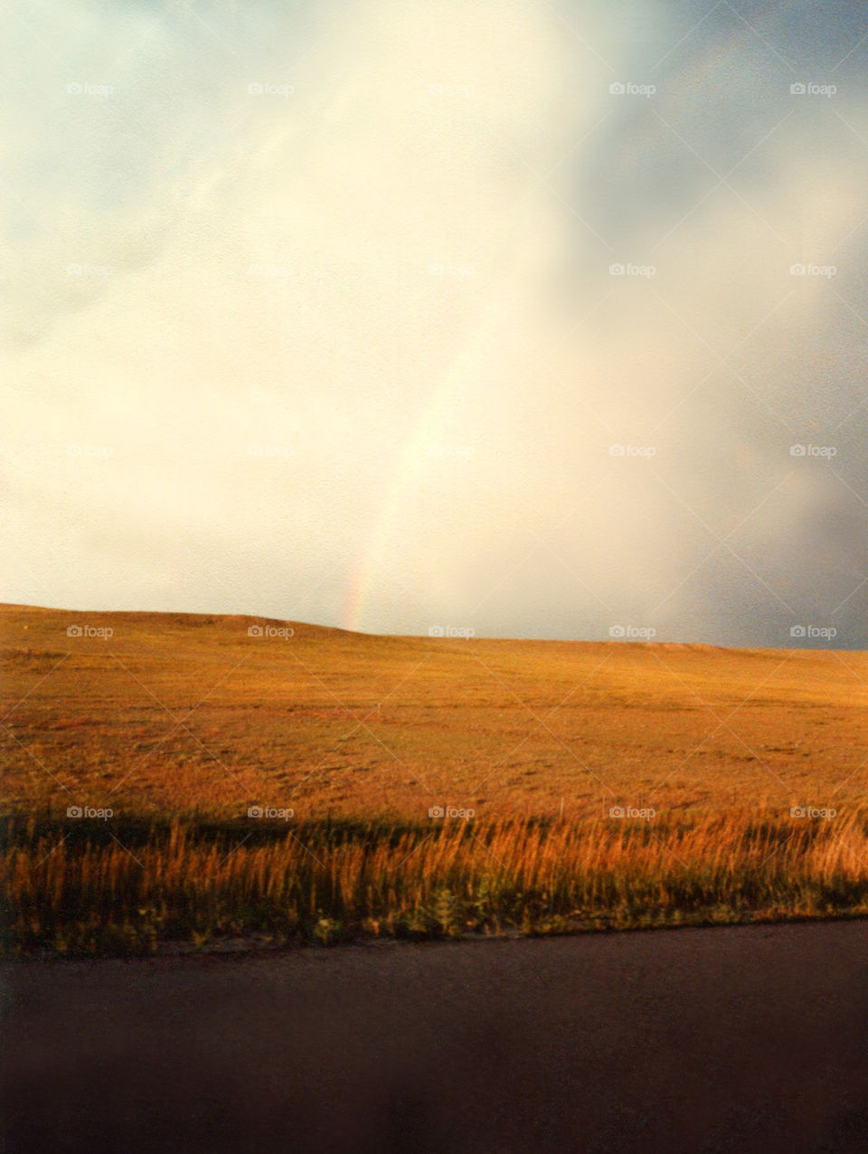 Colorado Rainbow