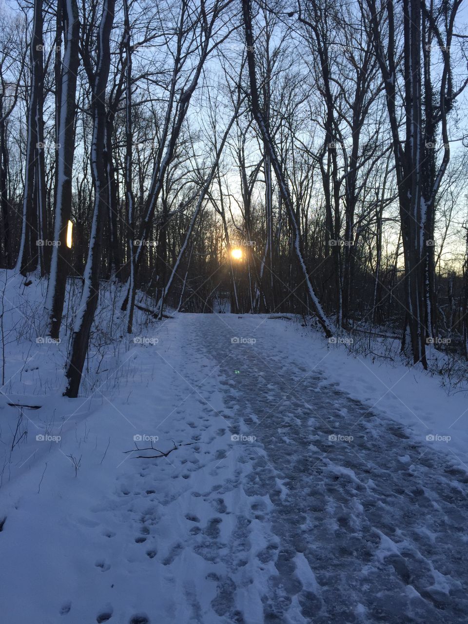 Icy pathway 