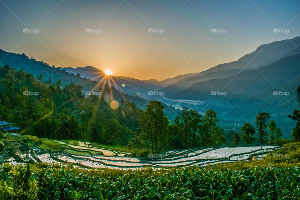 Sunrise , hills and field