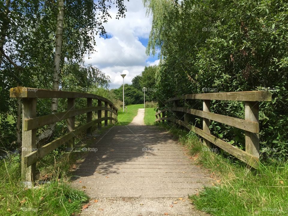Empty boardwalk in park