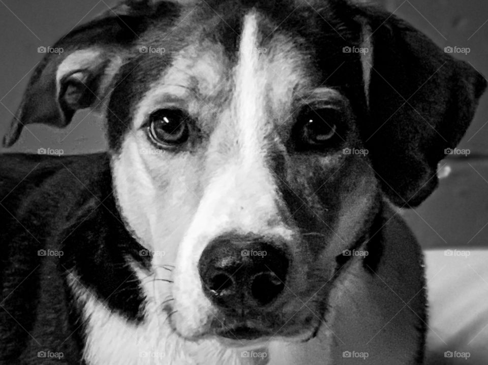 I’m always watching Wizowski. Always watching. Always. 