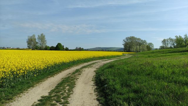 Dirt road