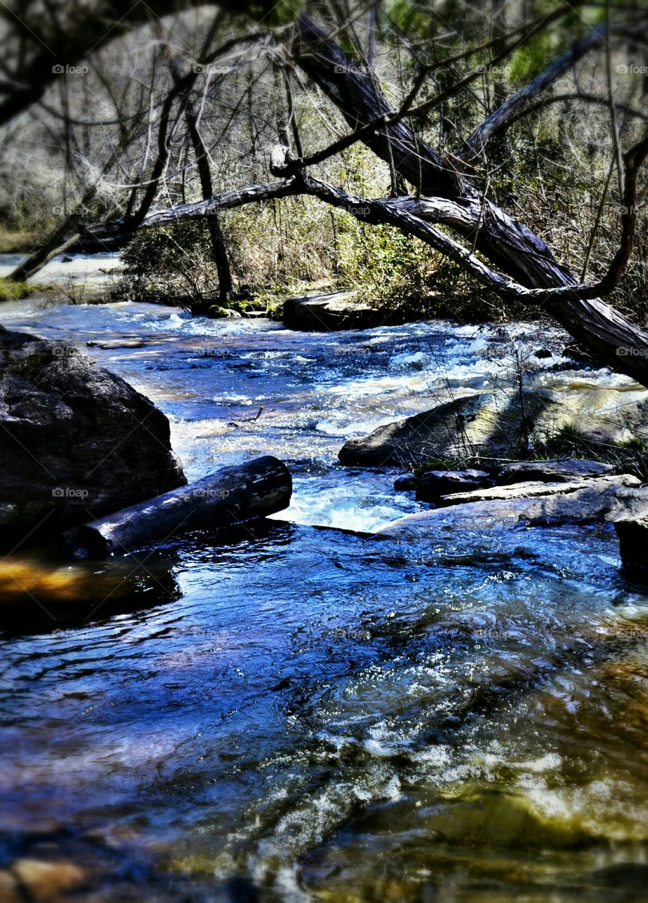 Water, River, Nature, Stream, No Person