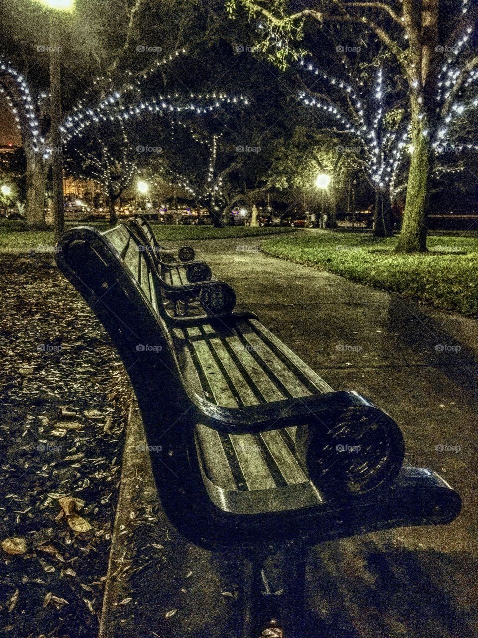 City park with city lights and city park bench. Love the nighttime lights in the park! 