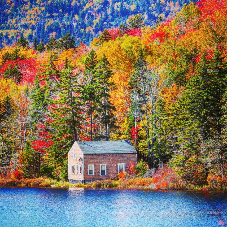 cabin on the lake in autumn