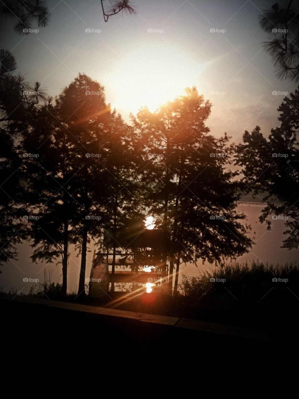 Sunrise at Lake Seminole in Georgia with tree silhouettes 