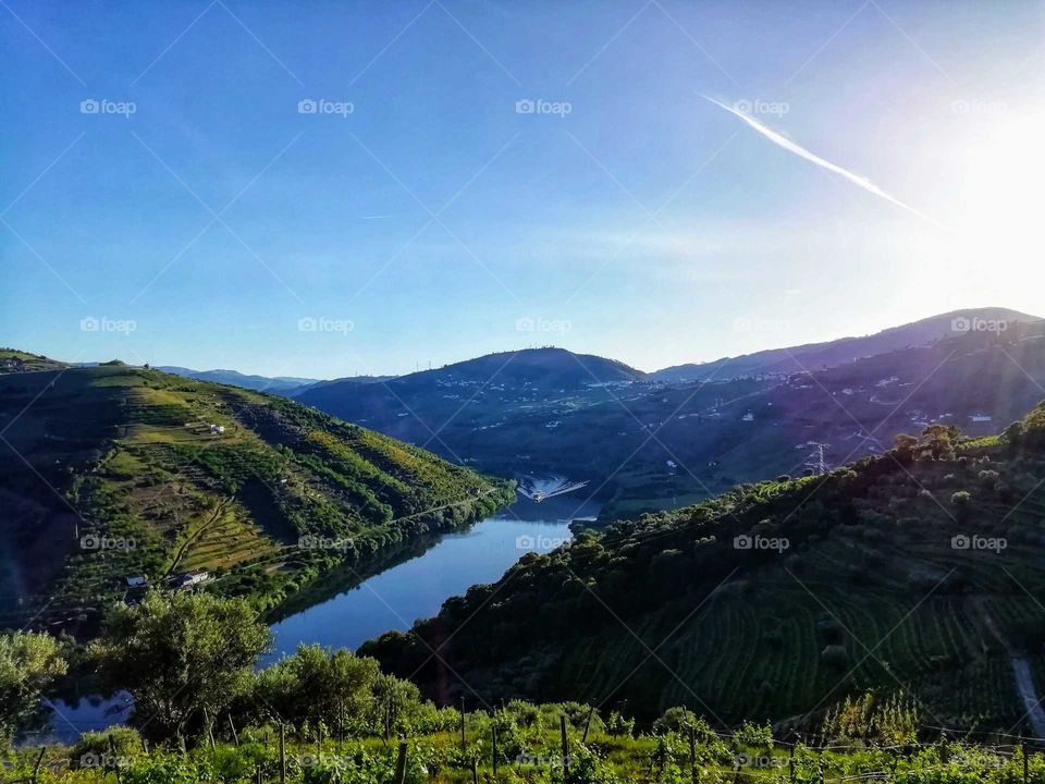 Douro river surrounded by vineyards