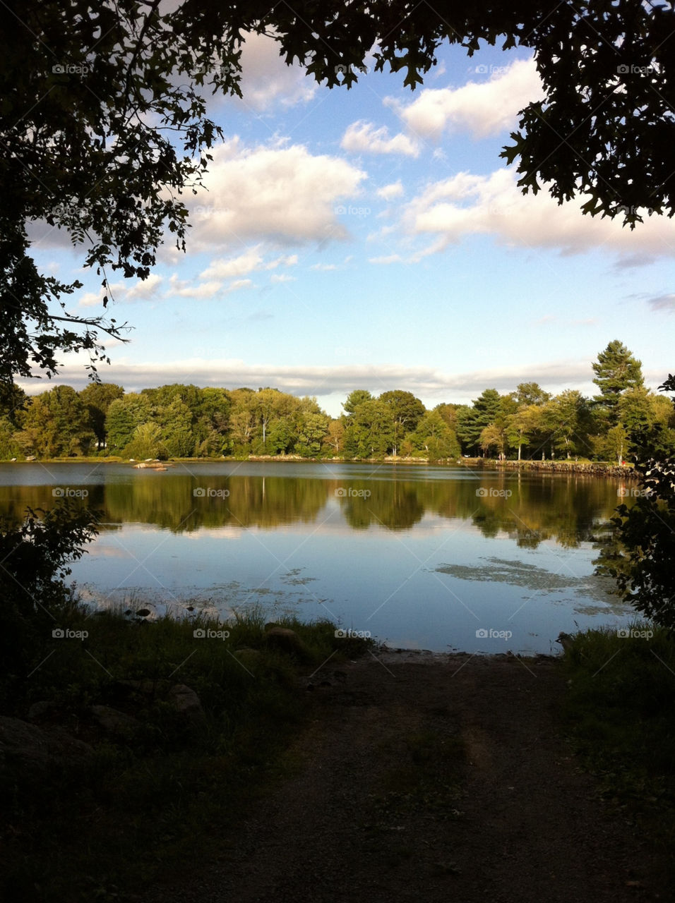 pond water forest woods by hcass925