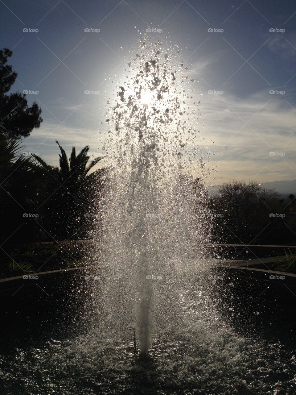 No Person, Water, Nature, Tree, Sky