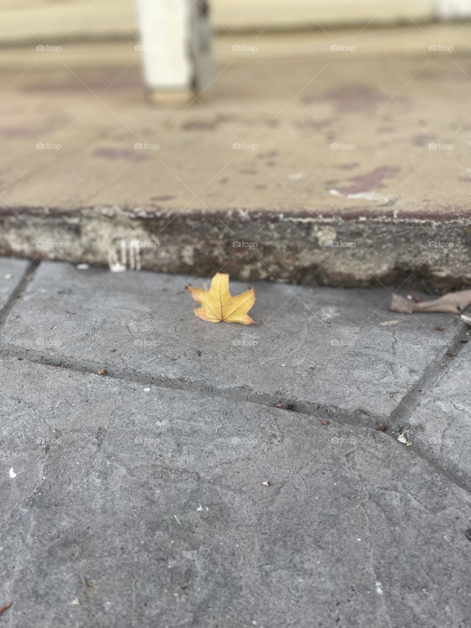 One small sign that autumn is in the air 