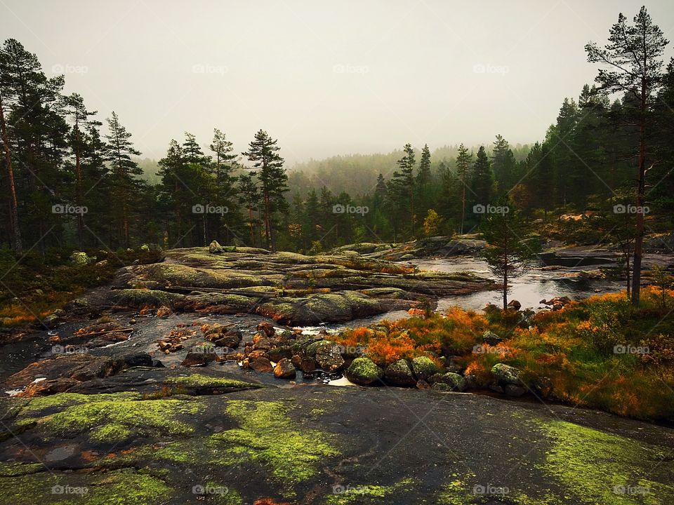 Landscape view of autumn