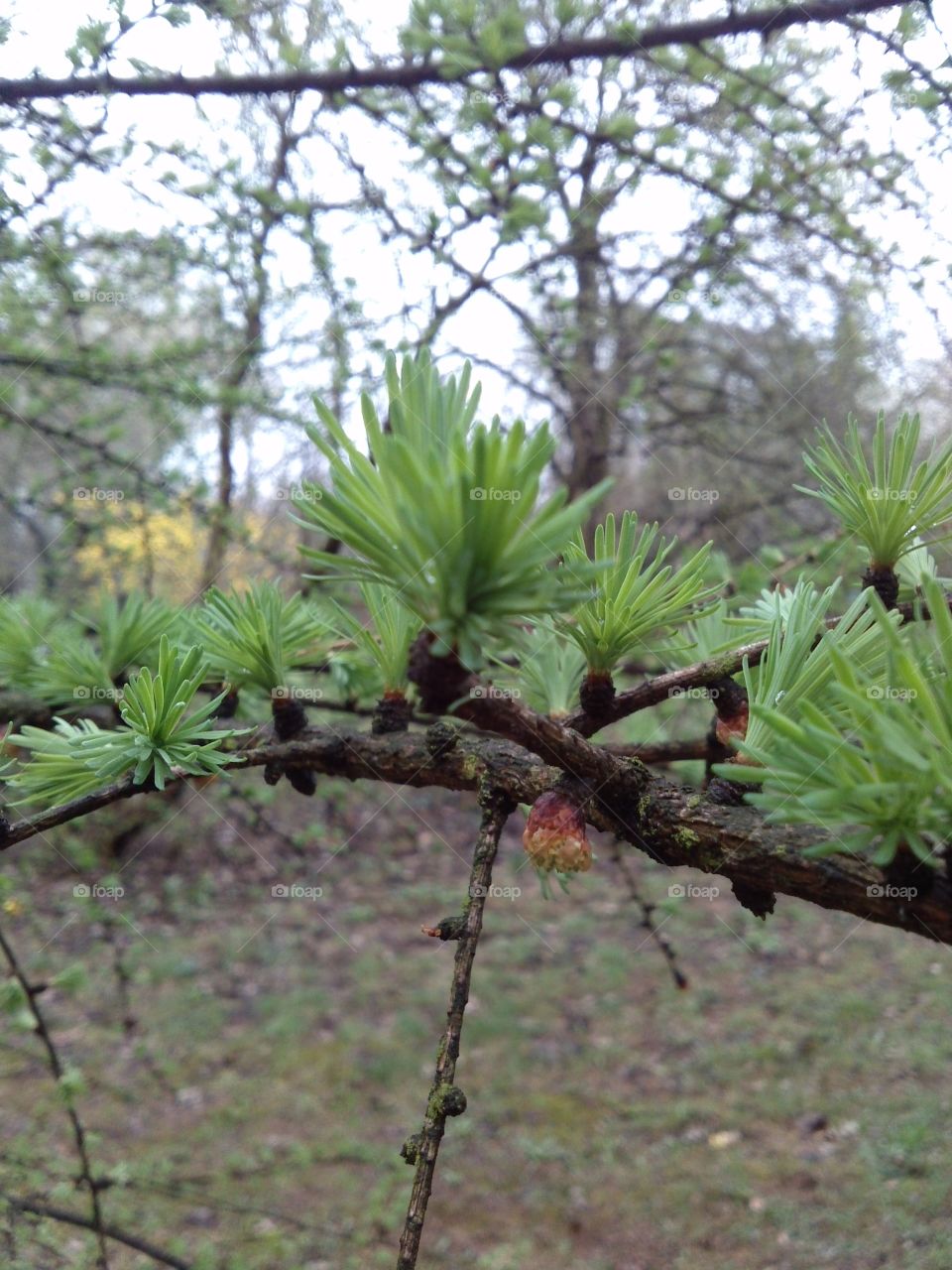 Fresh spring coat