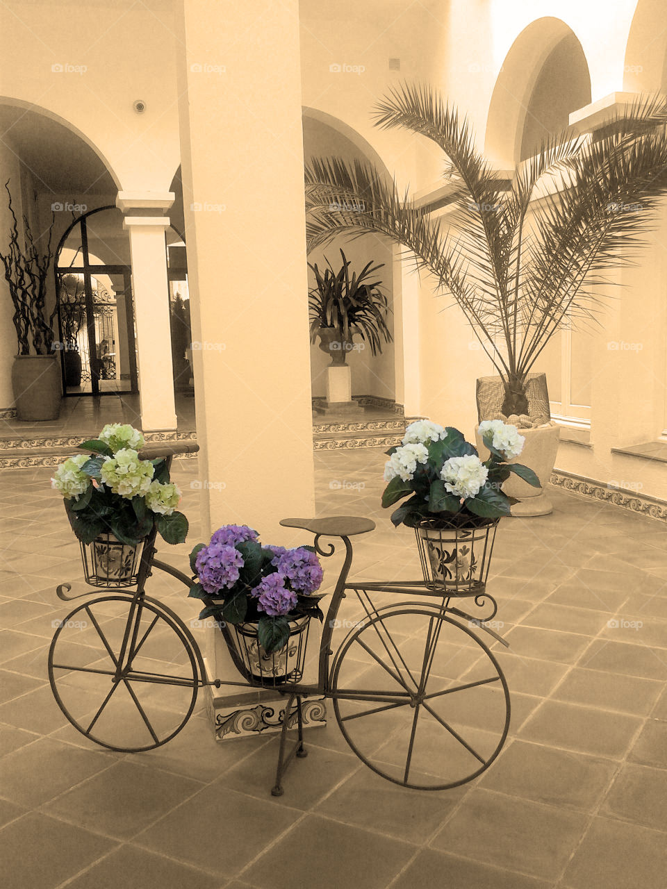 Potted plants on bicycle