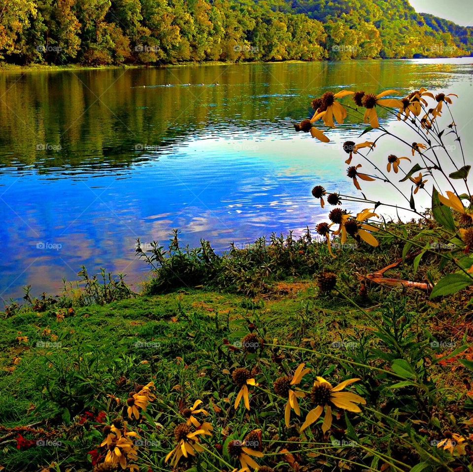 Relaxing on The River