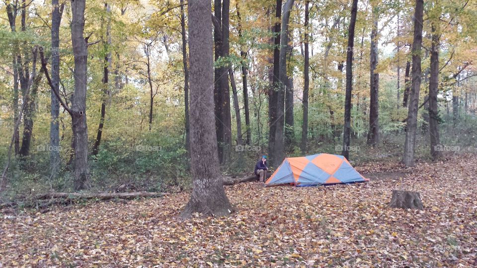 autumn camping