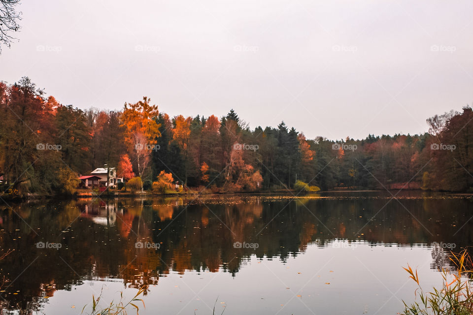 Ben autumn in Czech 😋