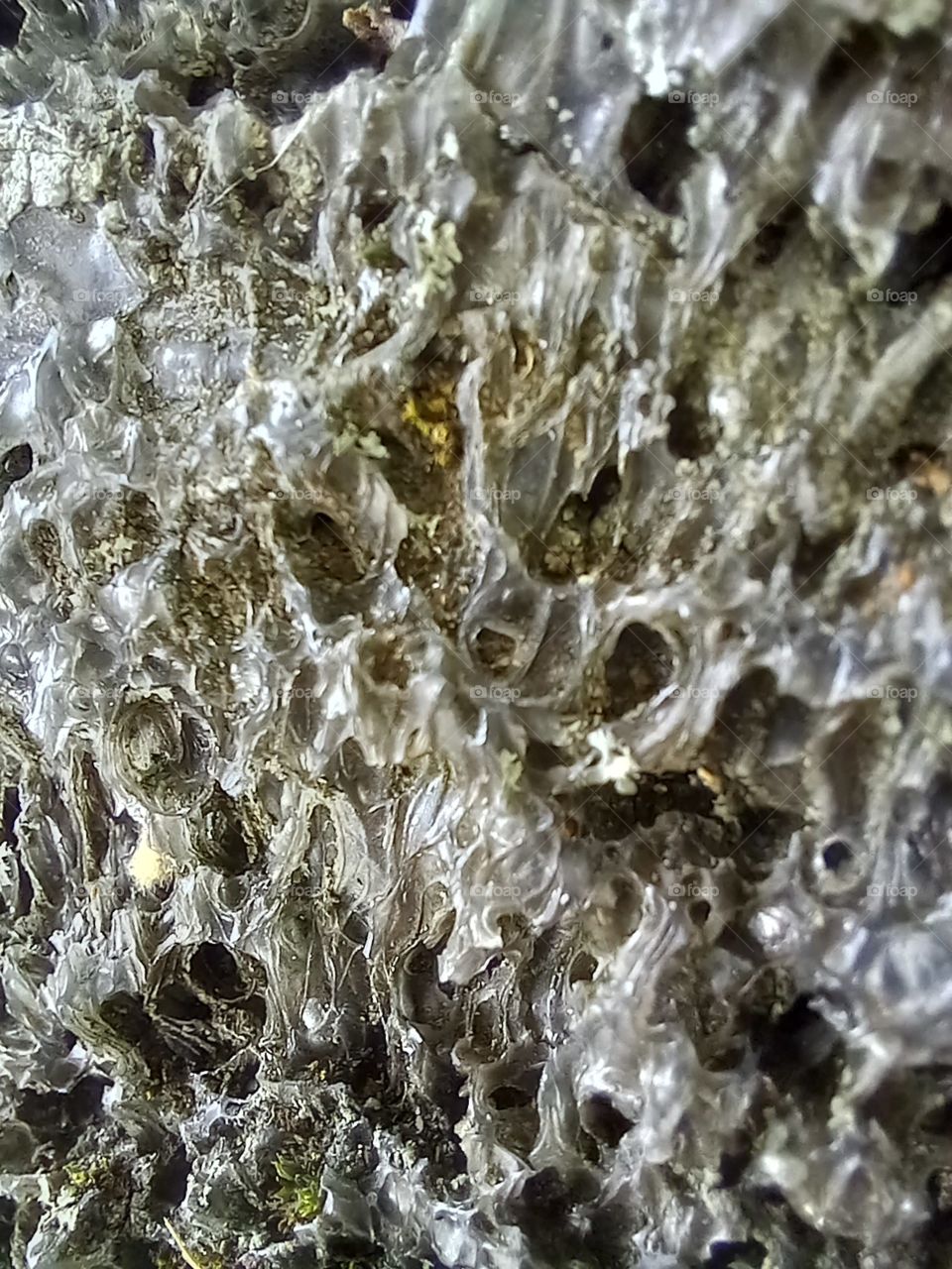 a close-up of a pumice stone