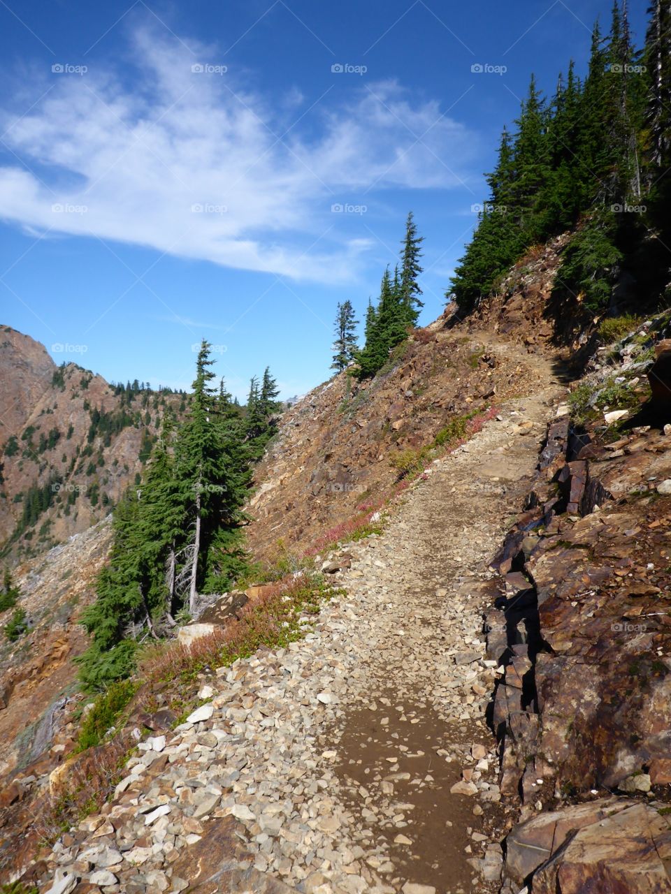 Pacific Crest Trail. Hiking the famous Pacific Crest Trail or PCT
