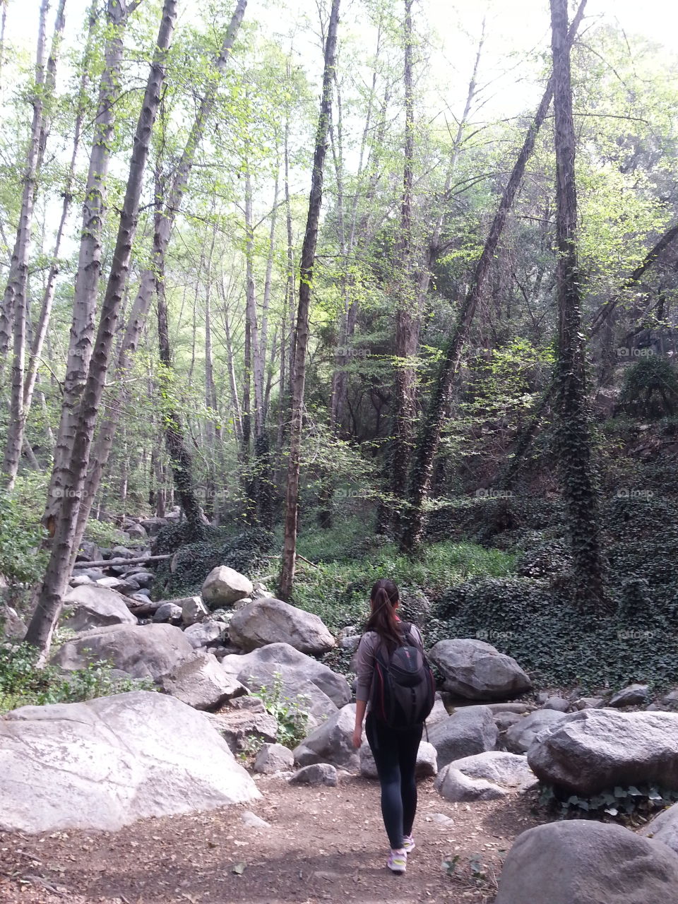 Walk into unknown. Hiking