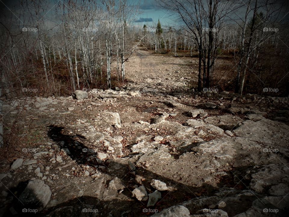 Drummond Island, Michigan 