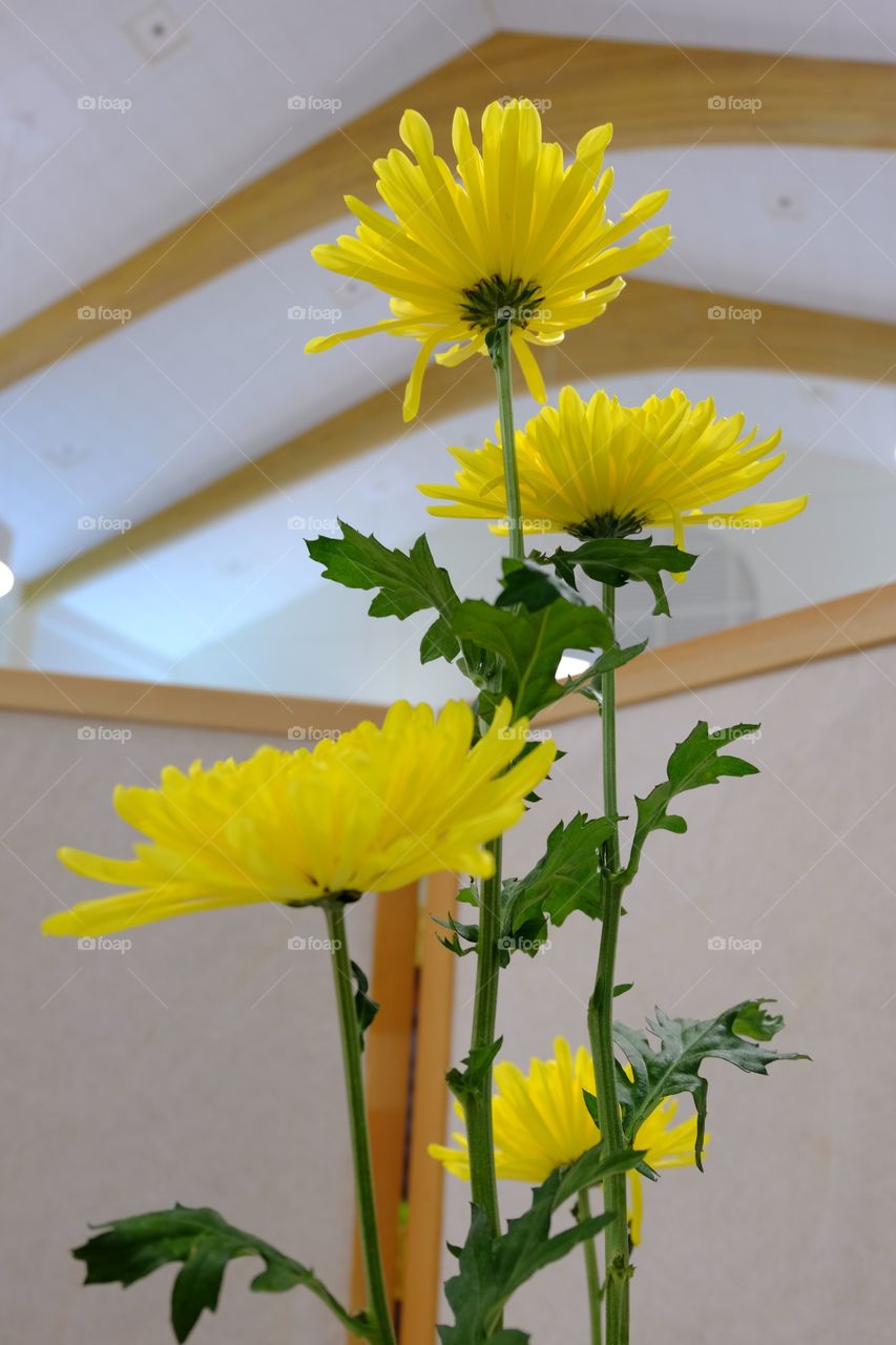 Flower arrangement, bright yellow flowers