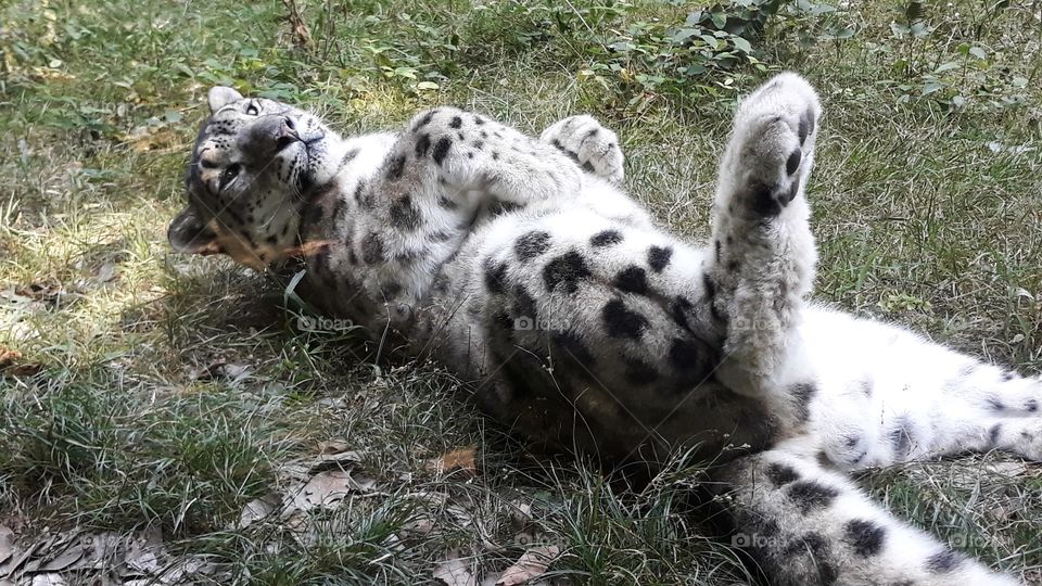 Collecting Memories dhanssen