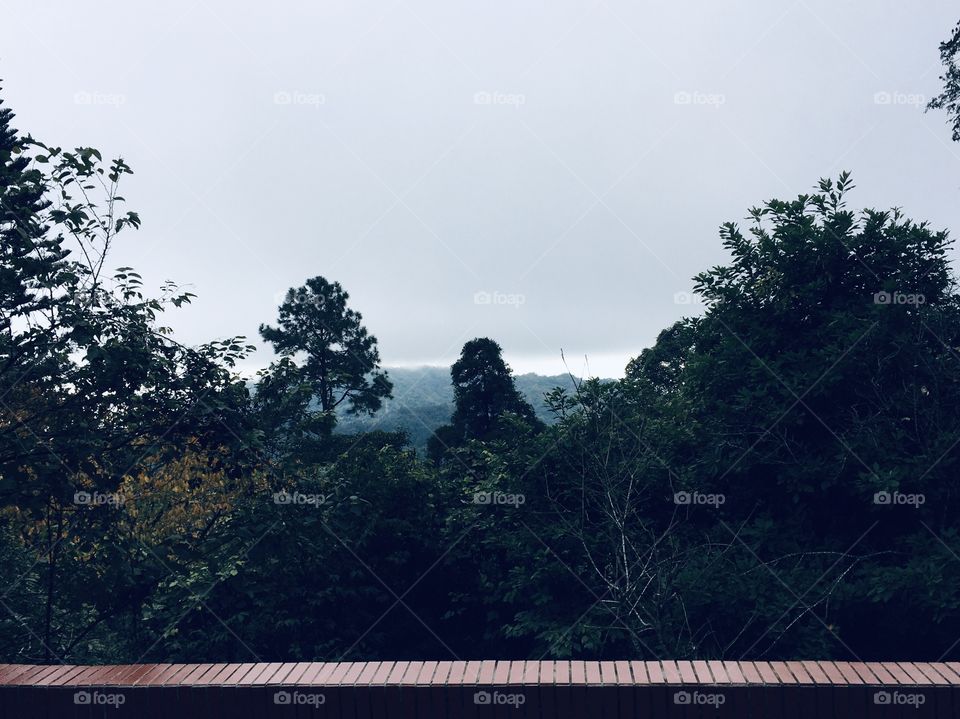 Inside Beipu Mountain located at Beipu Hinchu District, Taiwan, with the coldest weather on it.