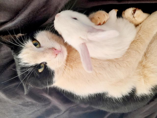 They are best friends 🤪.