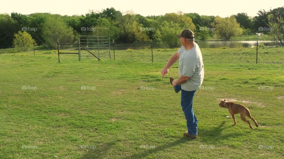 a man throwing a rope bone and a young puppy dog running to get it in spring