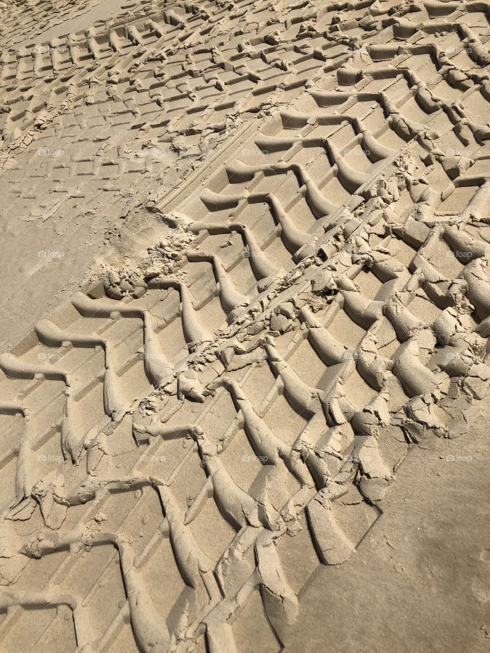 True tracks in sand