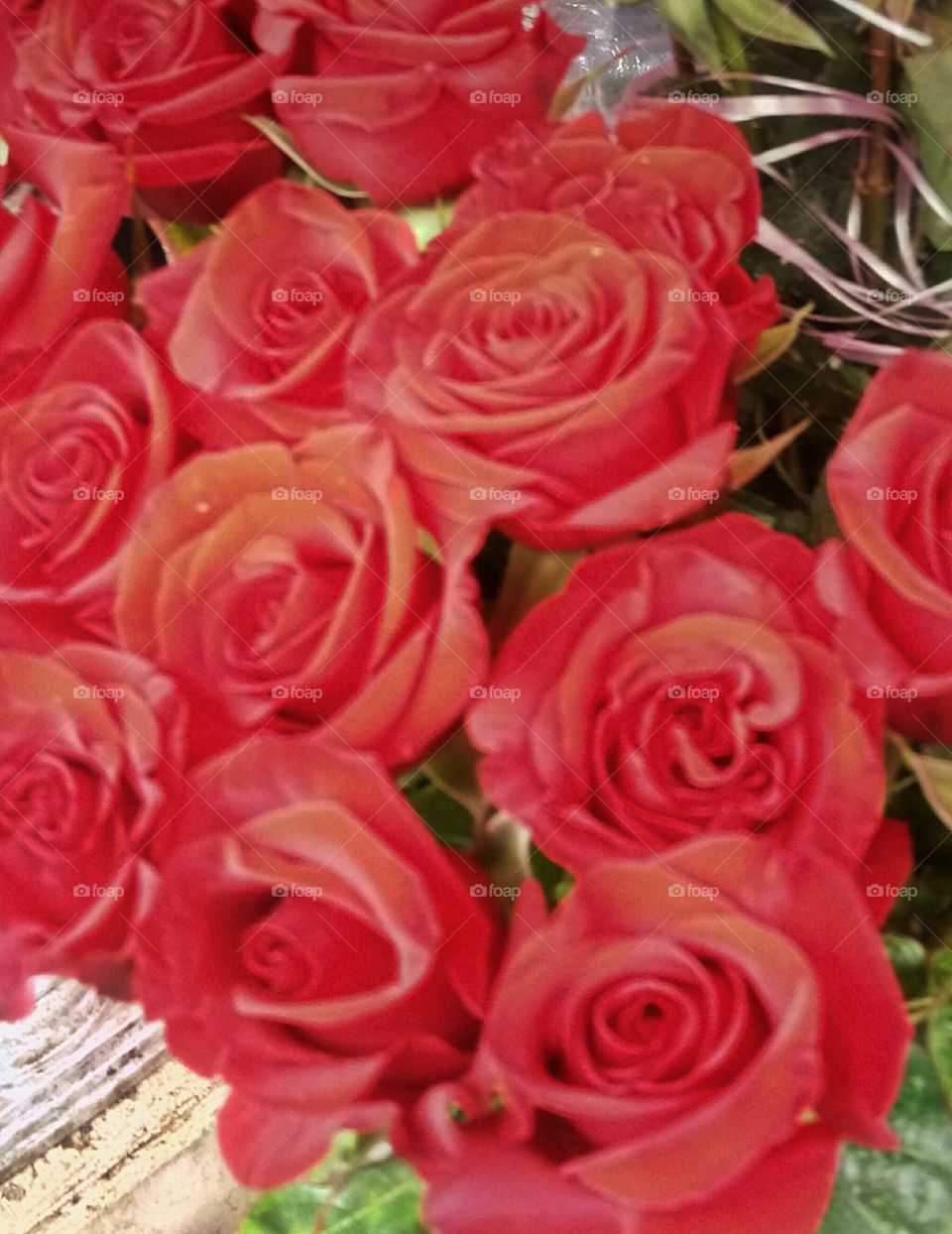 Rose, Bouquet, Love, Petal, Romance