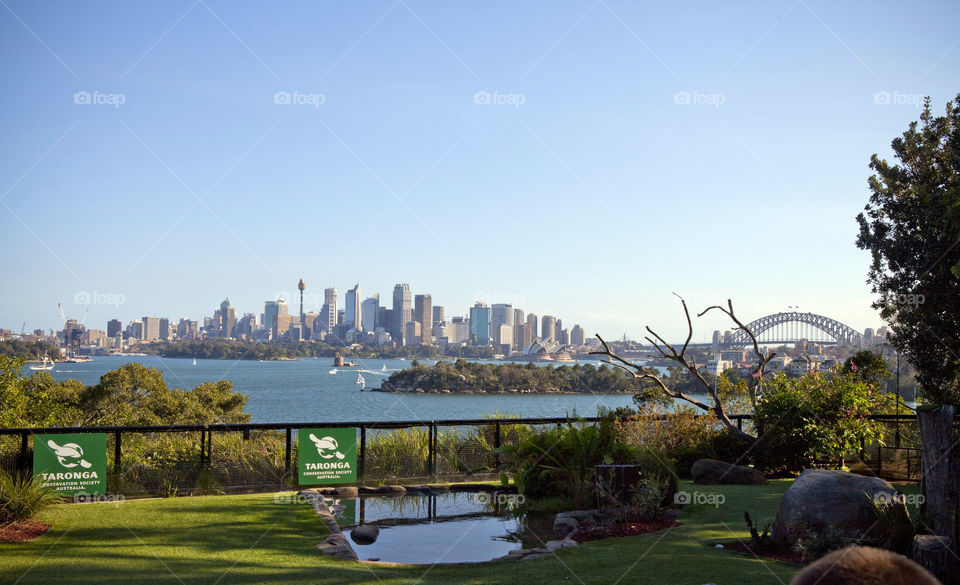 Australia's Sydney City skyline view from Taronga Zoo, NSW