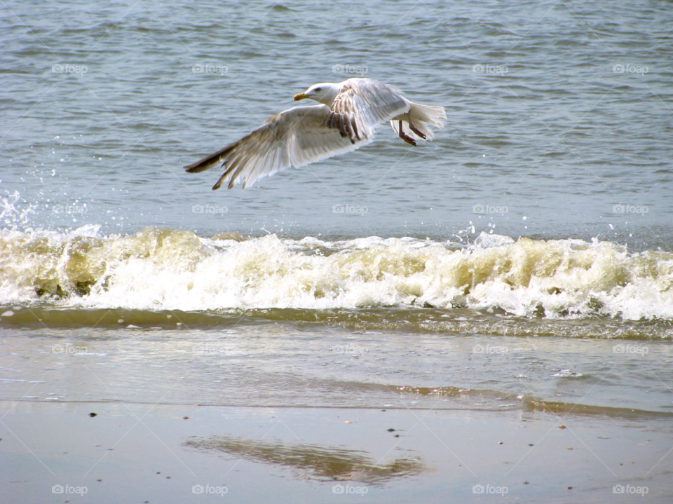 beach ocean nature sun by KathOnEarth