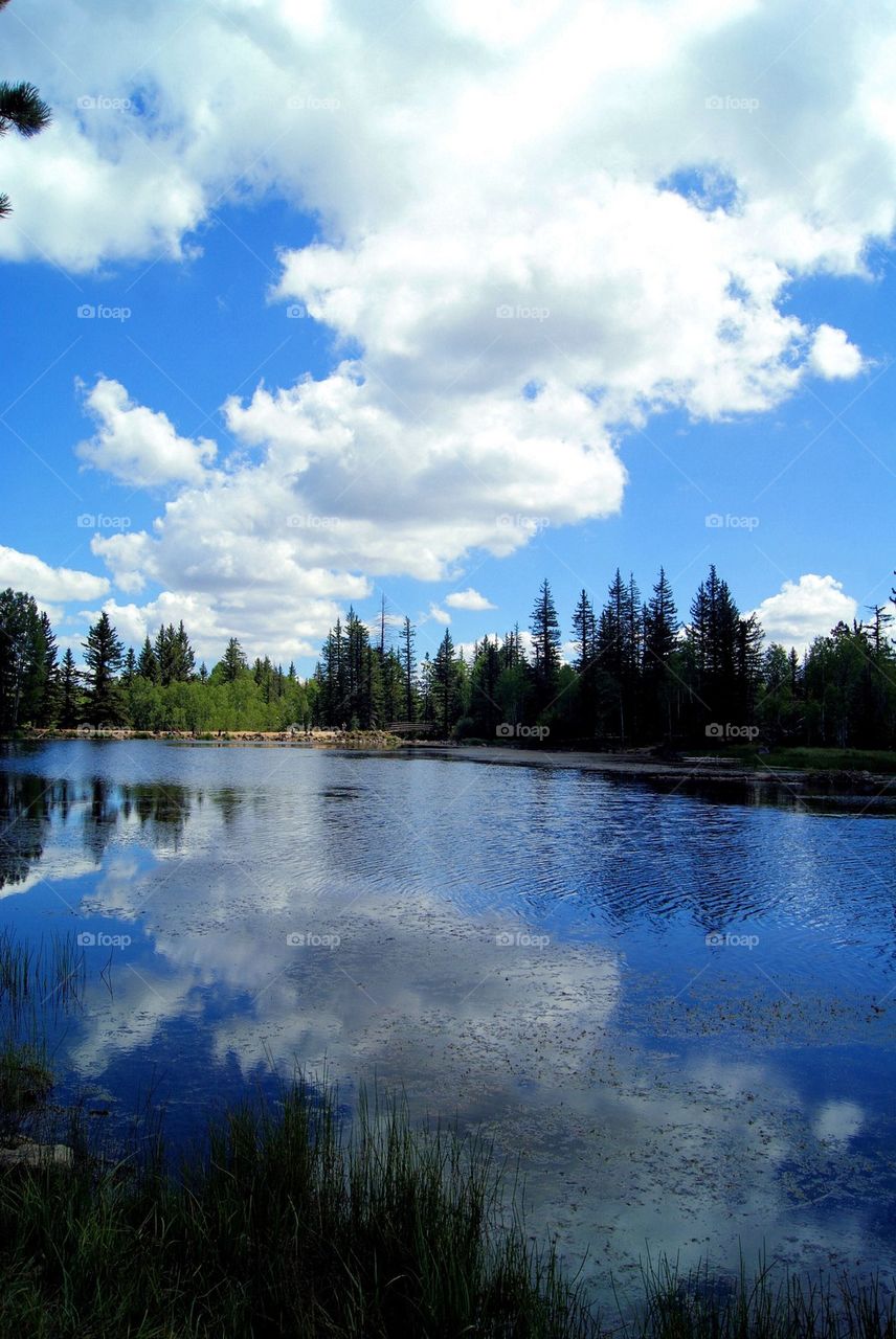 Clouds and tree reflected in lake