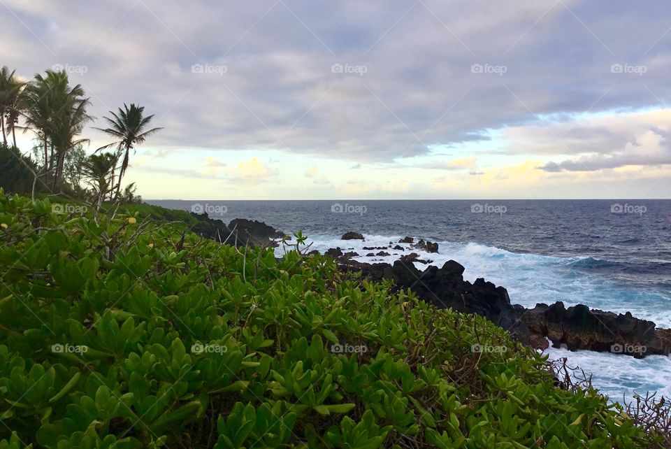 Sunset by the sea cliffs