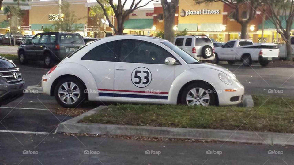 Herbie. Herbie the love bug is alive and living well in South Florida