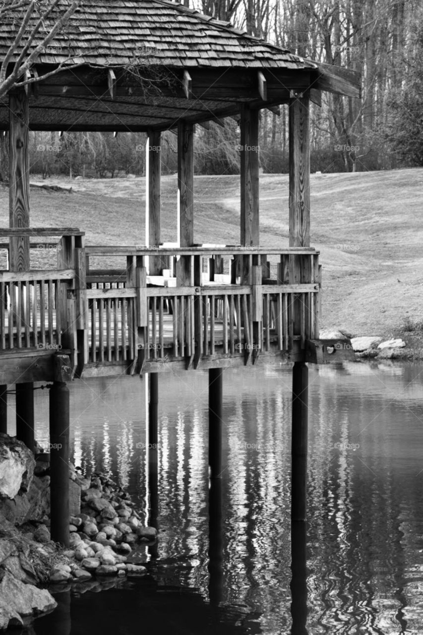 Pagoda in Black and White