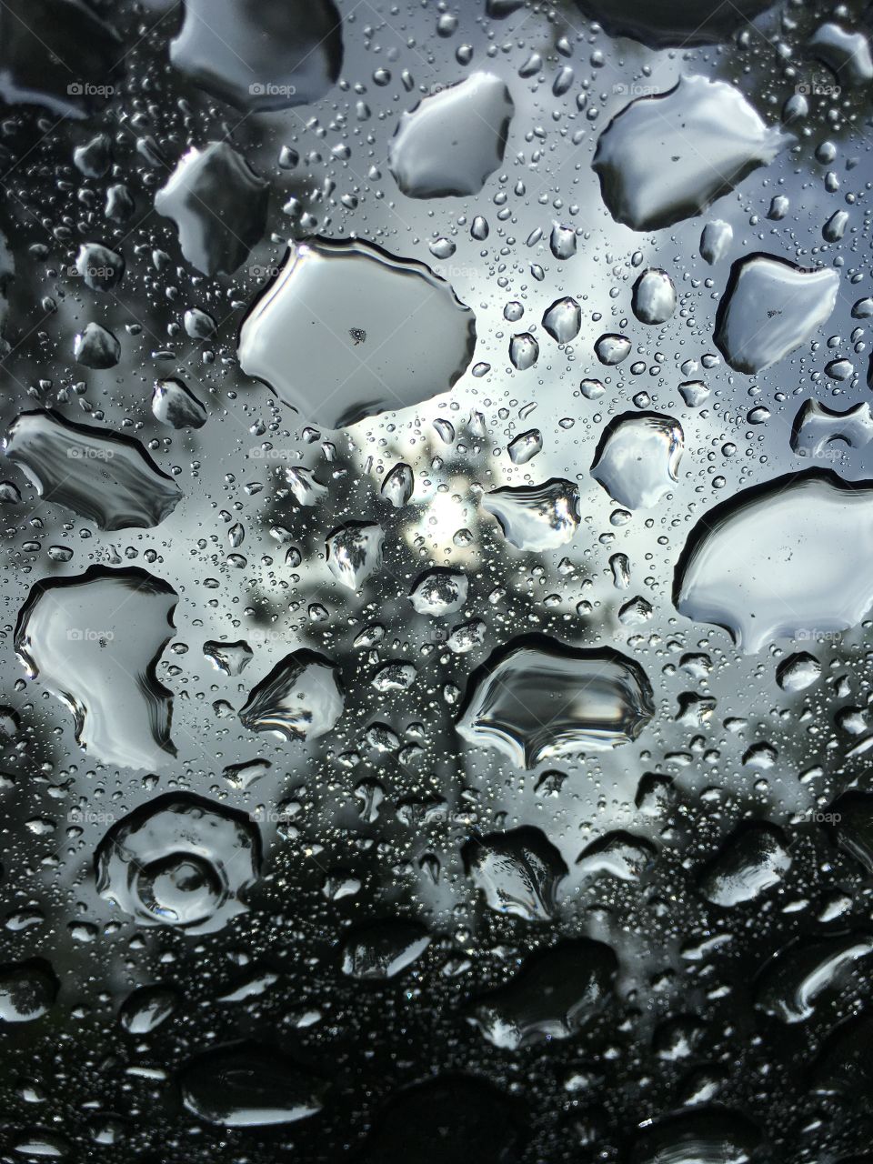 Raindrops on a sunroof, Pineywoods, rainstorm, waiting out a rainstorm in the car 