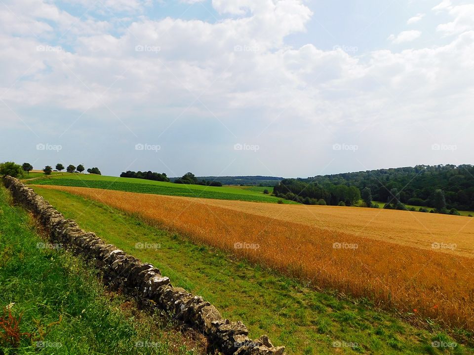 The air smells as sweet as it looks