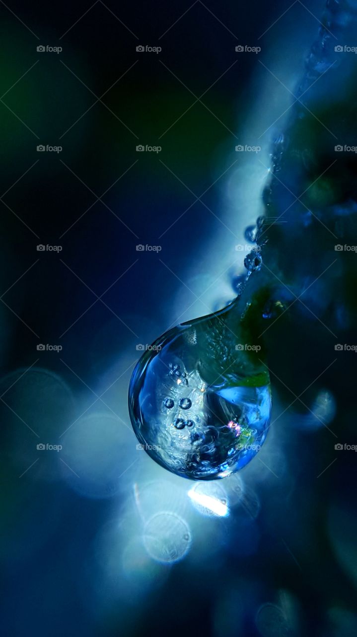 Frozen drop of dew on the leaf in the morning.