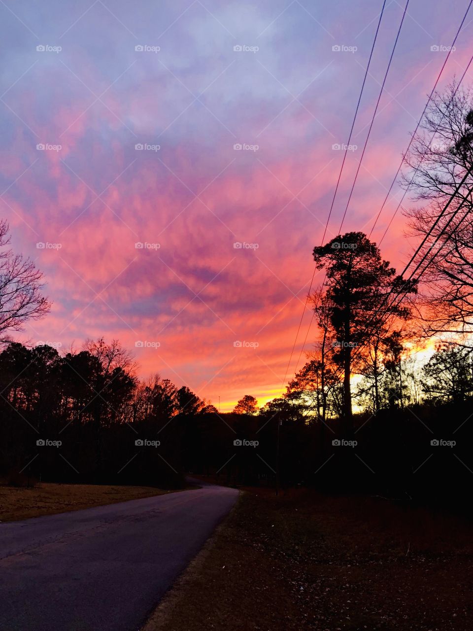 Nightfall on rural road 