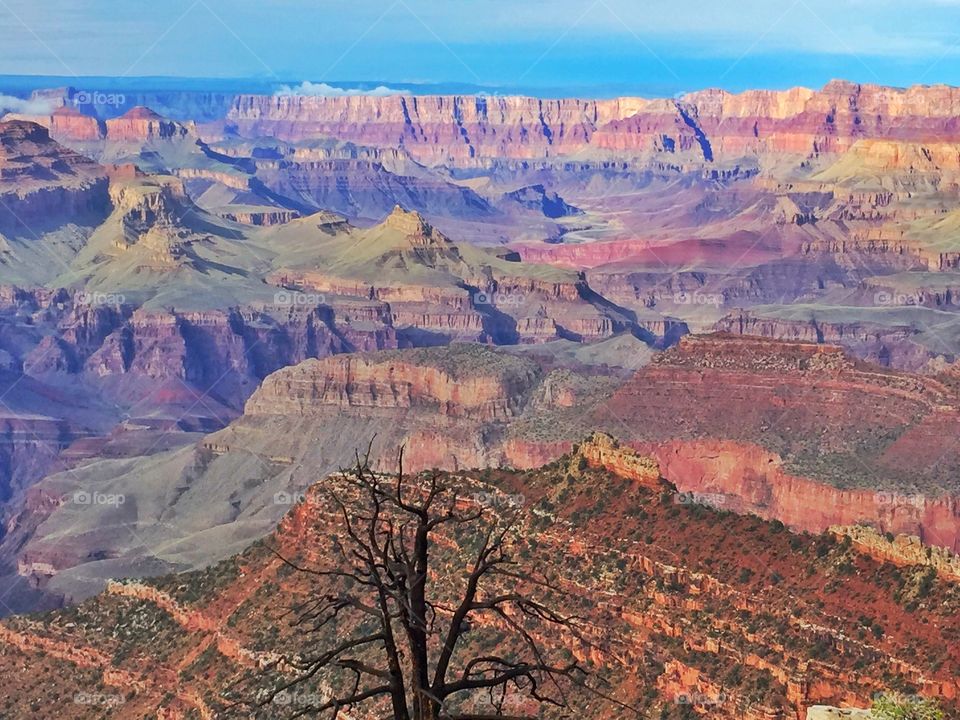 Scenic view of grand canyon national park