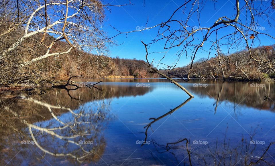 Reflections on the Lake 