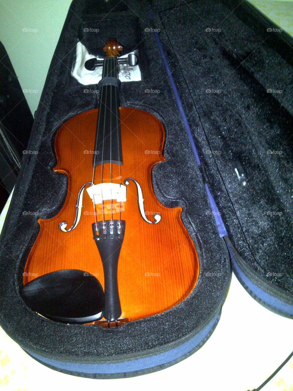 The Viola. It holds the orchestra together. The strength lies within the strings. A beautiful way to touch the soul. 