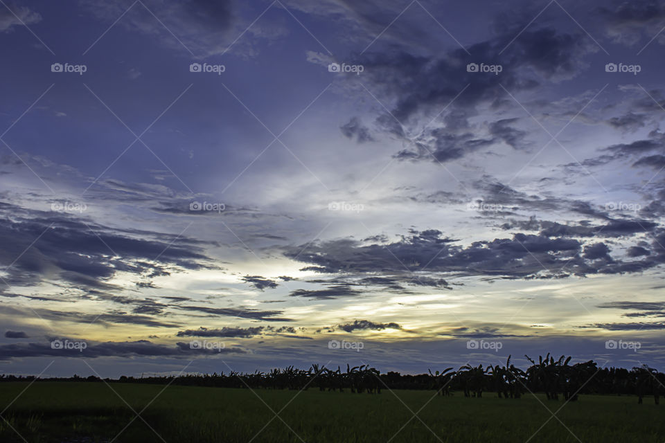 The reflection of the Sun in the evening  and the clouds on the sky with Shadow trees in paddy fields.