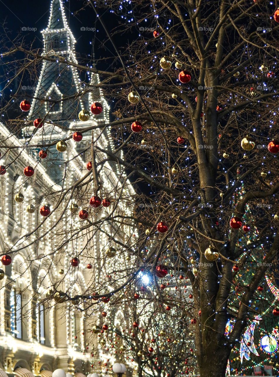 Christmas outdoor lights and decoration 