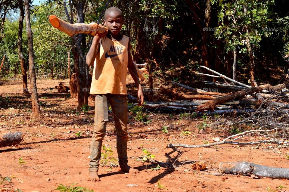 Wood, Nature, Outdoors, Tree, People