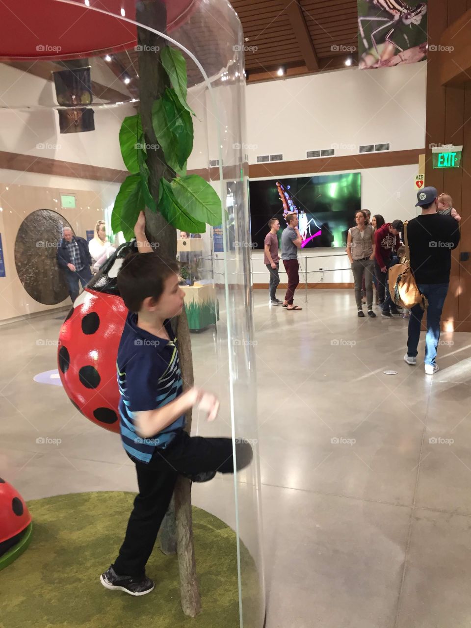 Playing in The Bug Museum