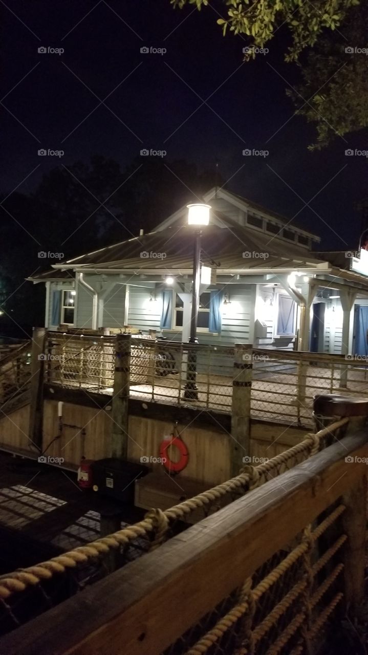 Beauty In The Shadows